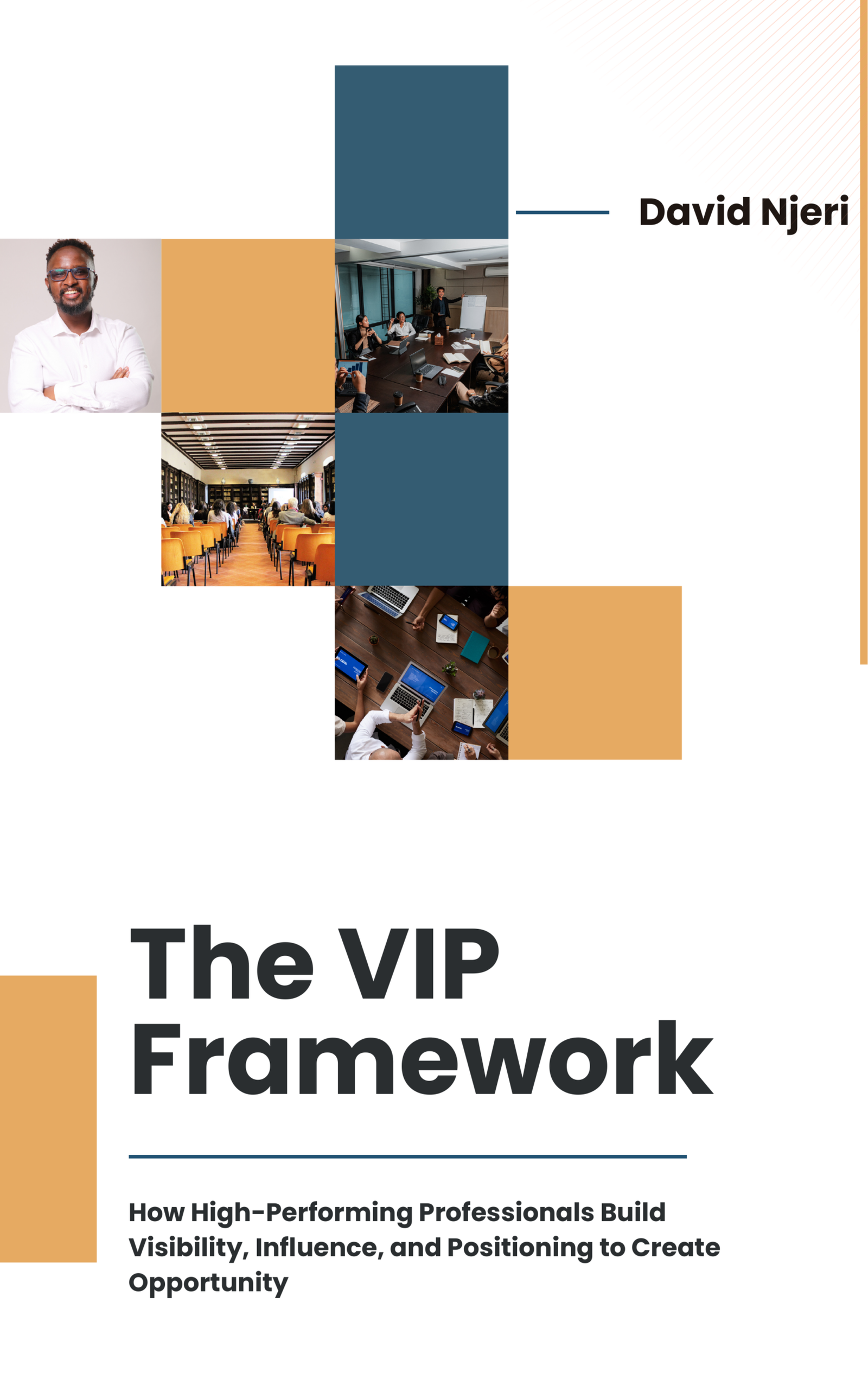 The VIP Framework Ebook Cover